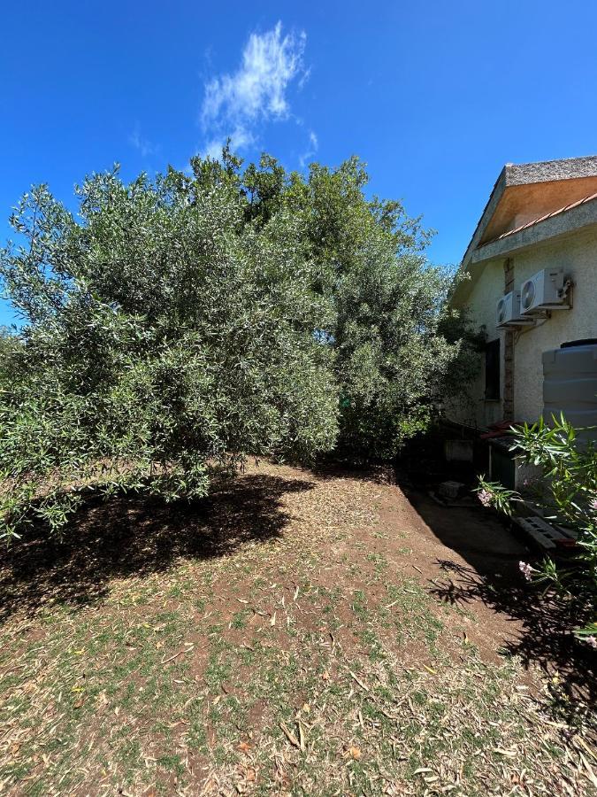Domo Austinu - Abbasanta Villa Dış mekan fotoğraf