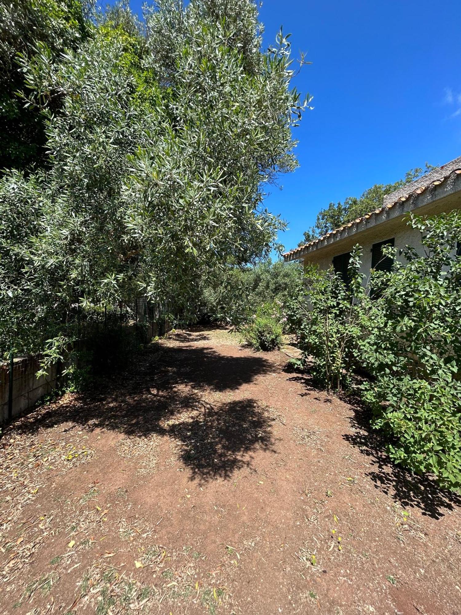 Domo Austinu - Abbasanta Villa Dış mekan fotoğraf