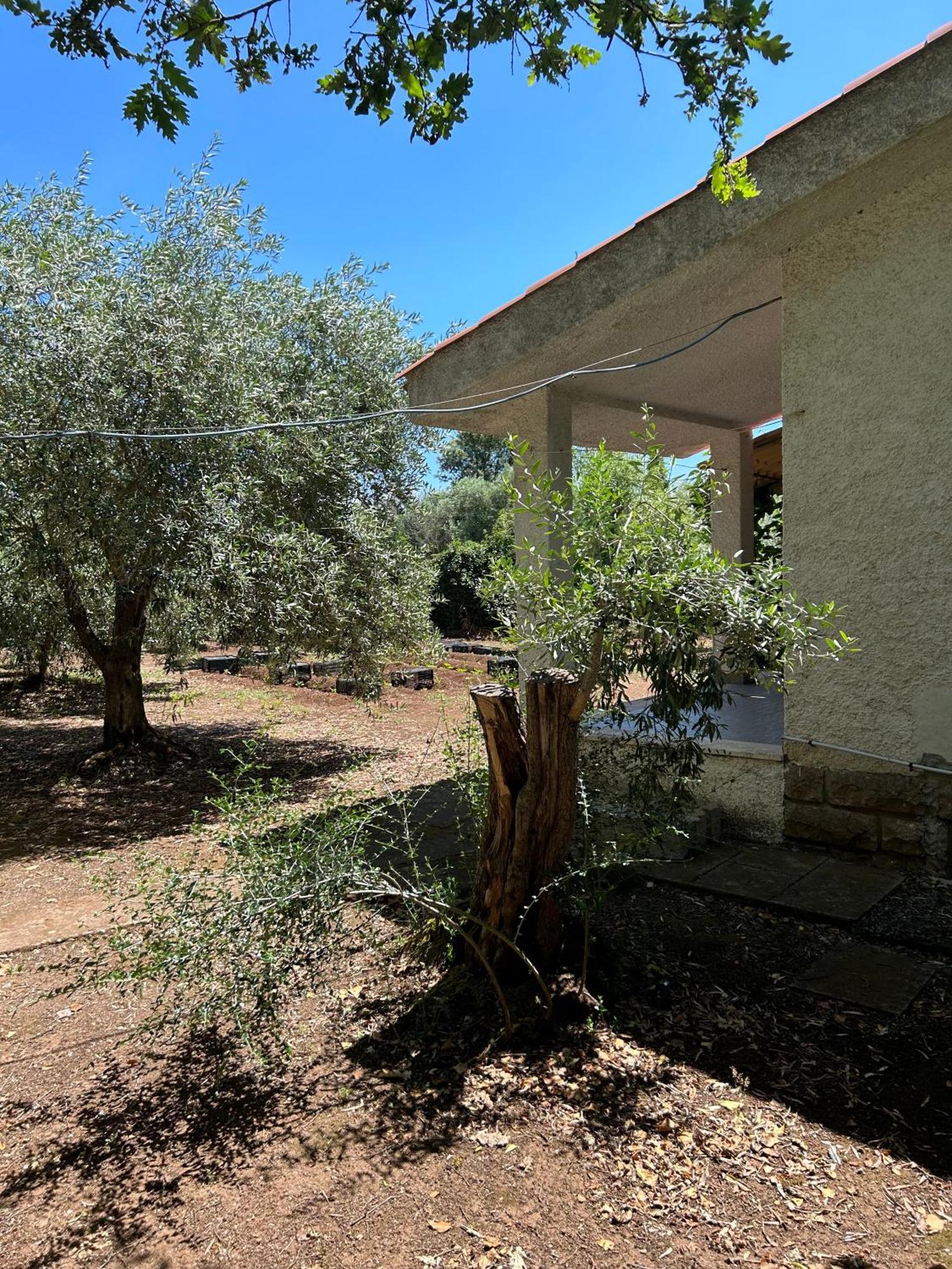 Domo Austinu - Abbasanta Villa Dış mekan fotoğraf